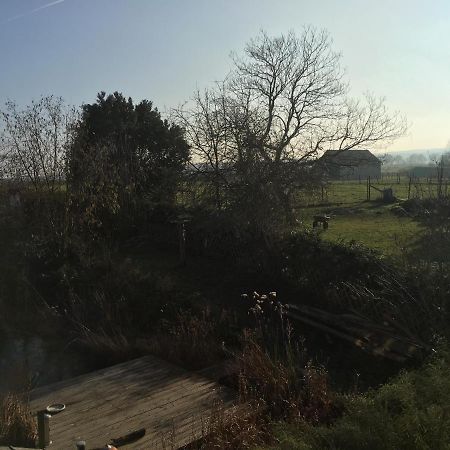 Ferienwohnung Auf Dem Kutzenberg 梅根海姆 外观 照片
