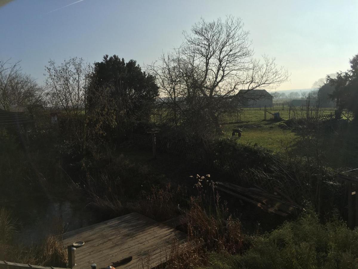 Ferienwohnung Auf Dem Kutzenberg 梅根海姆 外观 照片